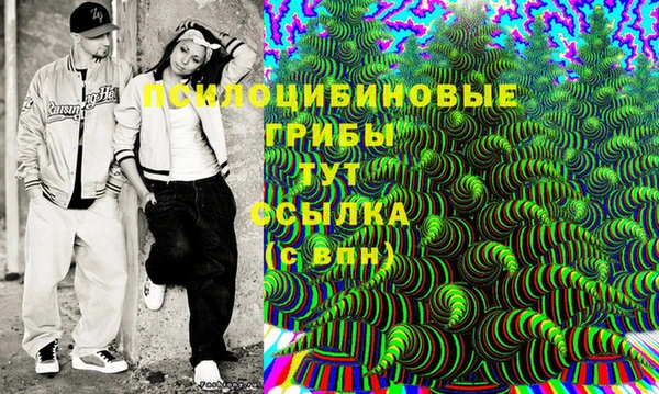 ешки Зерноград